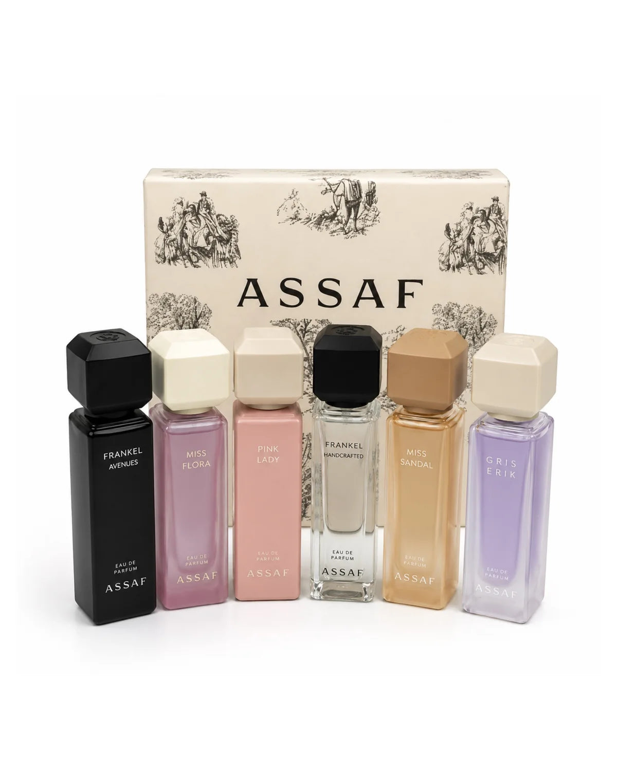 Assaf Discovery Box
